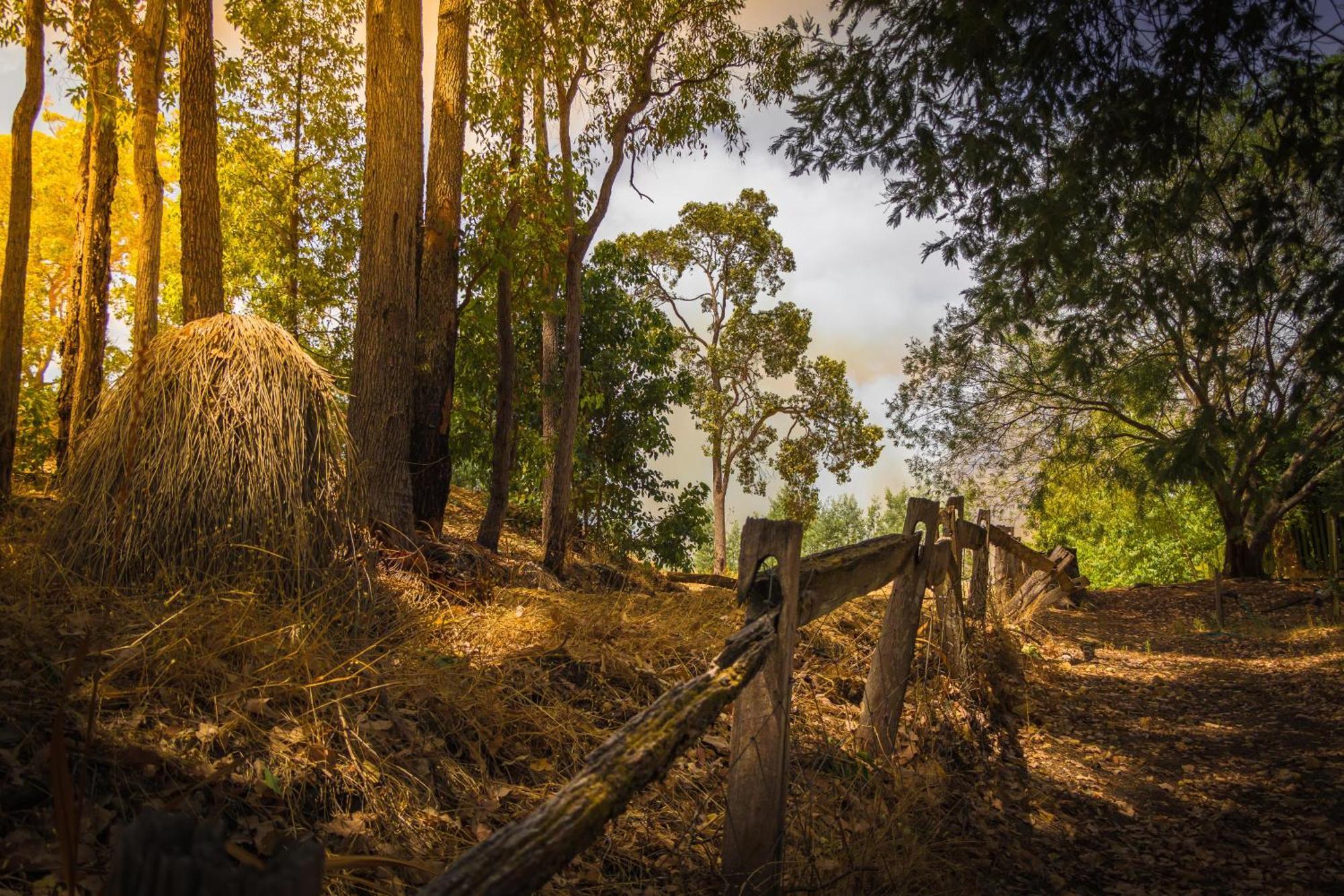 Holberry House Nannup
